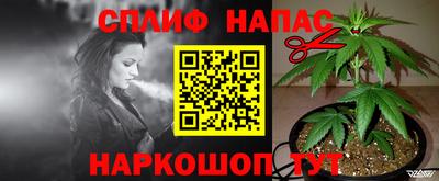 jwh Гатчина